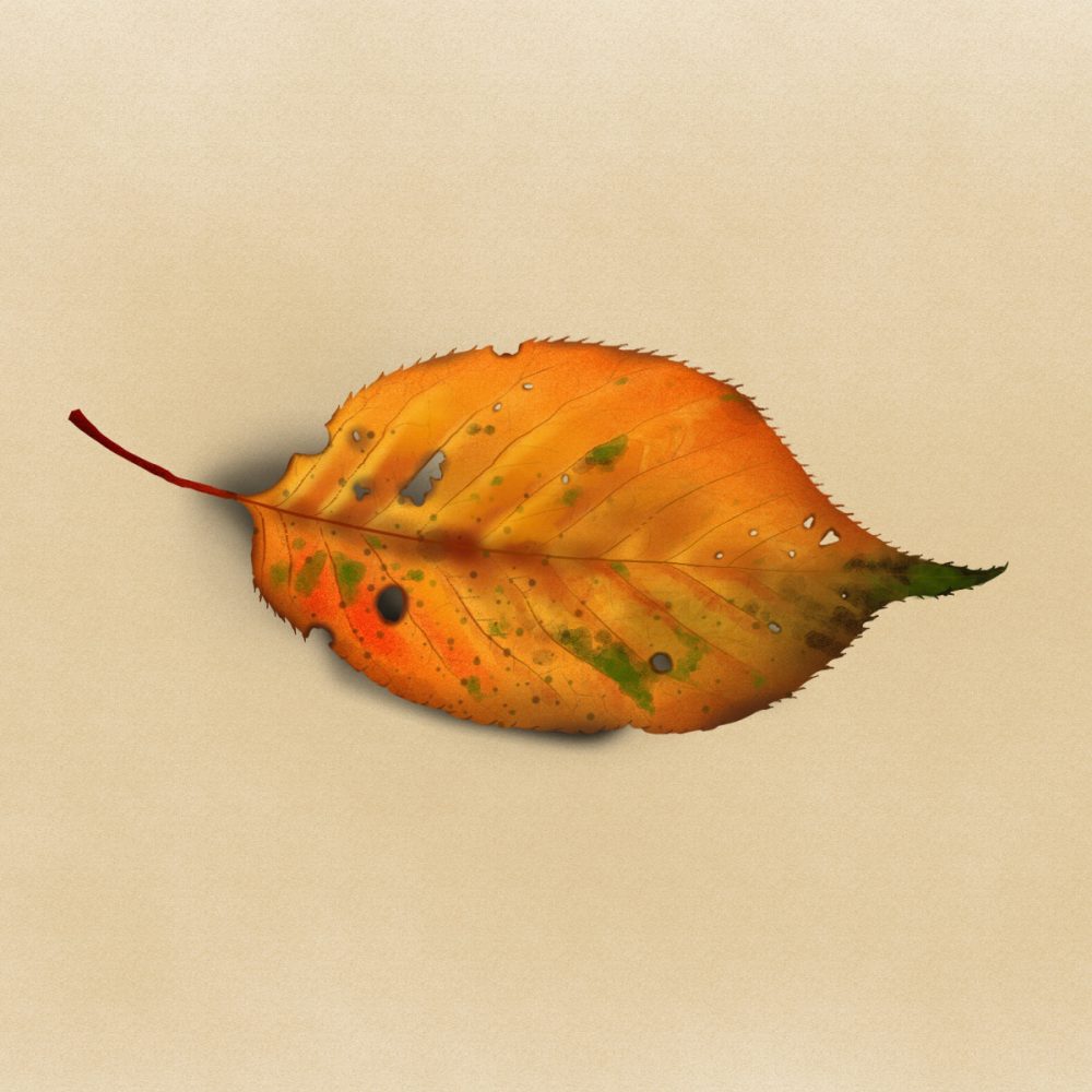 leaf